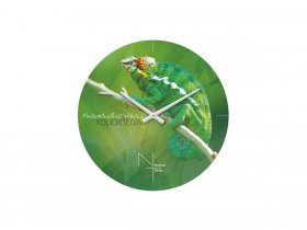 Часы настенные Nicole Time NT503 в Мочище - mochishche.mebel-nsk.ru | фото